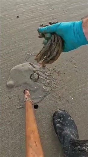 worming i wish i could do that every time😁😁