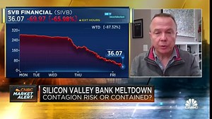 Banking system appears 'incredibly well capitlized', says former Fed economist Bill Nelson