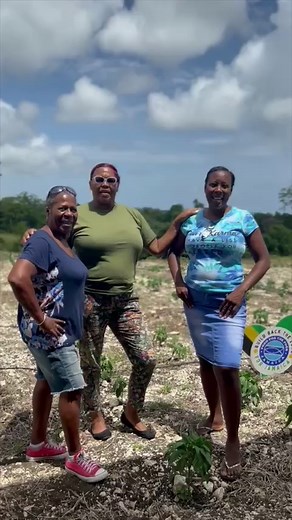 325 reactions · 18 shares | Exciting News!  Food For The Poor...