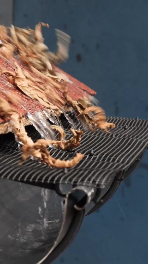 Rain gutter with a protective net | Panda Curioso