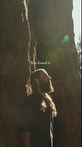 If you're looking for music that sounds like it comes out of a giant forest, you've found it 🌲