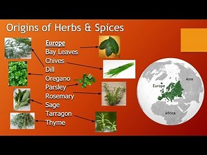 Herbs and Spices Lesson