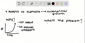 Rabbits were introduced into Australia in the 1800 s. The population of rabbits grew unchecked. Explain why this occurred and how this could adversely affect an ecosystem. | Numerade