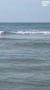 1.7M views · 5.6K reactions | Video shows a shark swimming at Hilton Head's Coligny Beach after beachgoers were cleared from the water. 麗 The sighting comes on the heels of 2 shark bites on the island. More info: https://www.wjcl.com/article/shark-hilton-head-island-coligny-beach/65204718  Brooke Wheeler | WJCL News | Facebook
