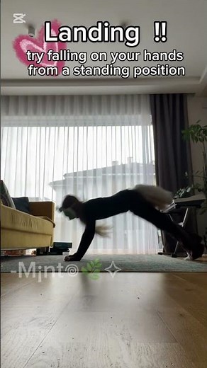 Therian Jump Tutorial! #therian #therianthropy #quads #tutorial #antizoo #furry #cat #therians