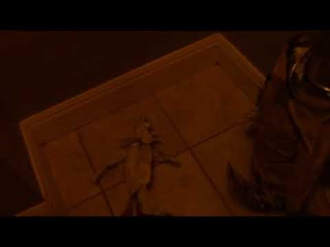 Building the dintlings