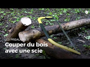 Cutting wood with a saw | Building forest facilities