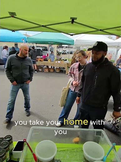 Our pickled green beans are good
