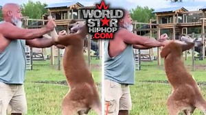 South Carolina Man Dies After Fighting Kangaroo At His Brother’s Petting Zoo