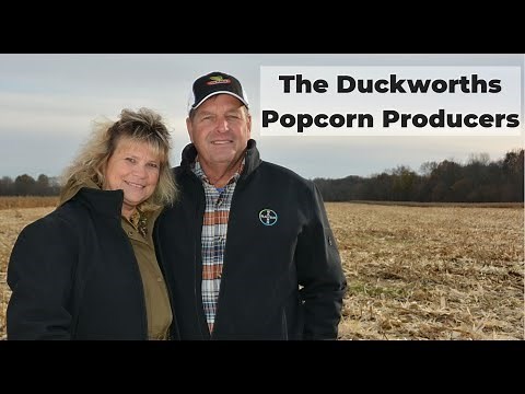 How Is Popcorn Grown?