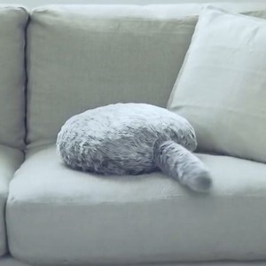 78K views · 41 reactions | Check out the coolest products from this year's Consumer Electronics Show. | cheddar news | Facebook