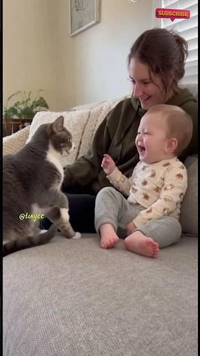 SHOCKING! This Cat Is ACTUALLY Talking To Its Owner! (Viral Conversation)