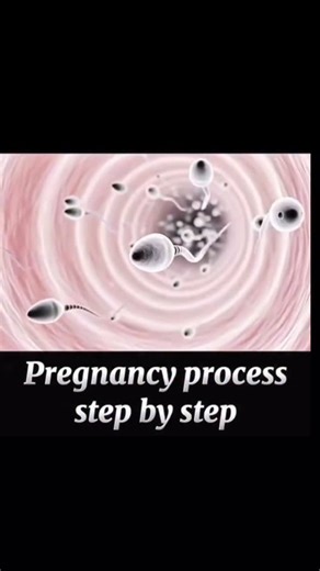 MEDICAL | HEALTH | BIOLOGY | POV: You finally found a page that teaches biology better than school. Pregnancy isn’t one moment — it’s a perfectly timed biological... | Instagram