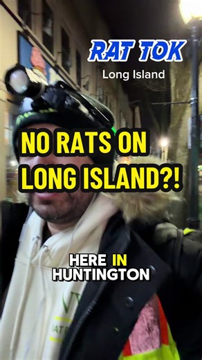 No Rats Spotted in Huntington, Long Island!