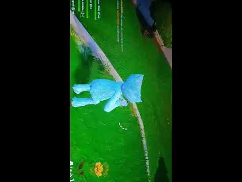 clover-dx est en direct !