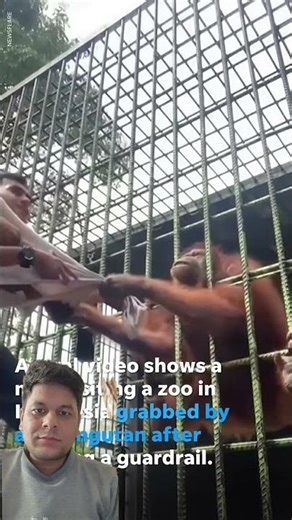 Orangutan की पकड़ से नहीं छूटा आदमी 😱 | Man Stuck in Orangutan’s Grip #shorts #orangutan