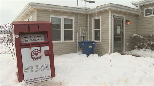 43 dogs seized by PEI Humane Society, investigation continues