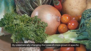 Healthier Soil Through Rotation