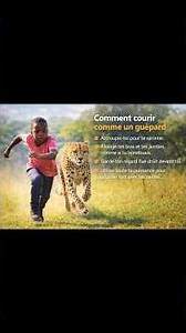 comment courir comme un guépard