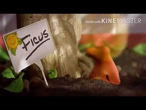 Goldfish season 4 episode but reversed