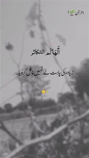 Beshak♥️ #foryou #fypシ゚viral