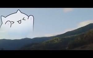 BONGO CAT ???? BEST COMPILATION!!!