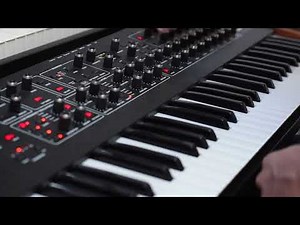 DSI Prophet REV2 - Synth arp jam demo