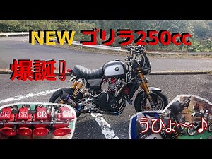 [モトブログ] ロングツーリングでの問題点を改善して生まれ変わったnewゴリラ250cc爆誕！！