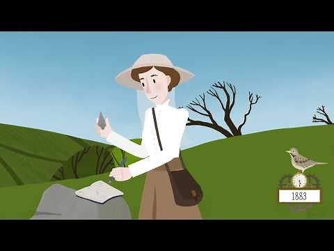 Discover the Dartmoor Story | An animated adventure through time!