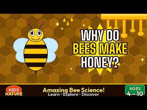Why Do Bees Make Honey? | Amazing Bee Facts for Kids