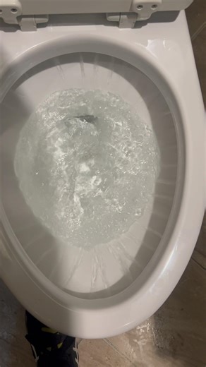 Toto drake toilet clogged siphon jet test