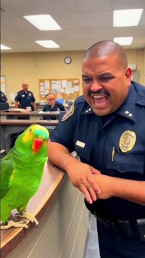 Larry the Talking Parrot Roasts His Owner AGAIN! 😳🔥 (Part 2)