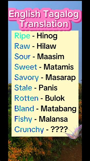 865K views · 6.5K reactions | English-Tagalog Translation ✅❤️ #englishlearning #vocabulary #knowledge #learning #Translation #English #tagalog | Learning English Tagalog | Facebook