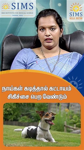 Proper Treatment for Dog Bites | Hello Doctor