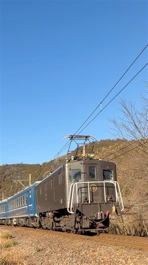 大井川鉄道 急行奥大井が素晴らしい光線で抜里カーブを通過 #大井川鐵道 #e101 #12系 #客車 #機関車 #列車 #汽笛