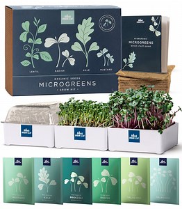 [Hot Item] Windowsill Microgreens Kit Seed Grow Kit