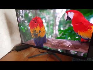 ACER PREDATOR XB283K 4K 144hz Monitor Unboxing & First Look
