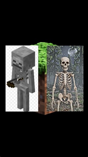 Minecraft VS Real Life