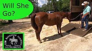 Loading a hard to load horse. I show you how I load a hard to load horse. I keep it quiet and simple and as low stress on the horse as I can. You should practice loading your horse before you need to go someplace. | Tim Anderson Horse Training