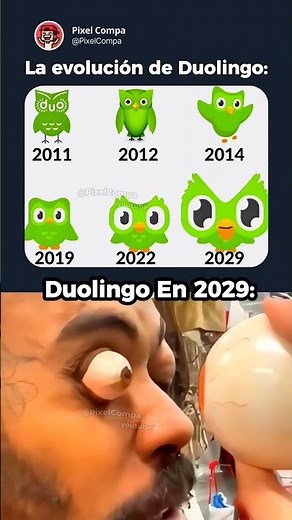 La evolución de Duolingo 🦉👀💚