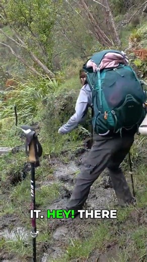 Go Through the Middle! Muddy Hike Fun