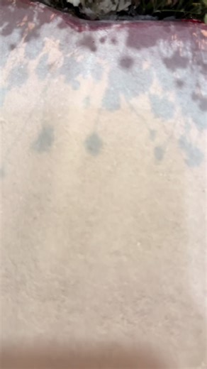 Rosas 🌹 🌹♥️ #valentinesday #regaloscreativos #emprendimiento #tendencia