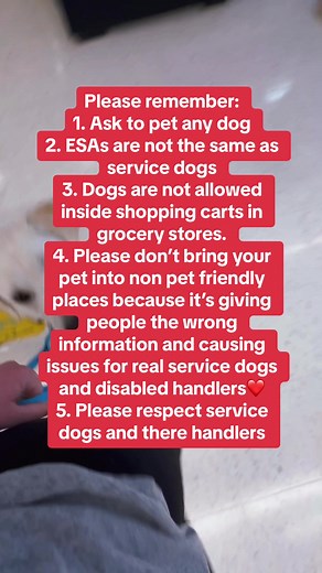 Service Animals: The Importance of Proper Etiquette and Education