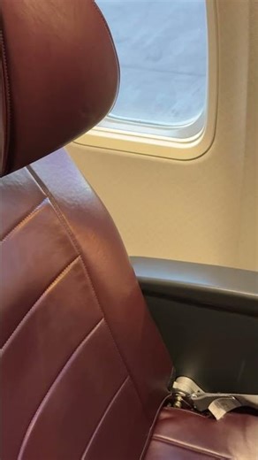 Qantas Domestic Boeing 737 Business Class