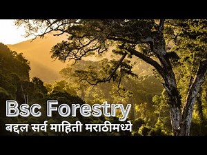 Bsc Forestry : सर्व माहिती मराठीमध्ये | Meaning | Eligibility | Entrance Exam | Syllabus | Colleges