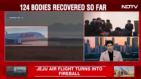 South Korea Plane Crash: 179 Feared Dead, 2 Survived |