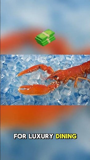 Lobster vs Crawfish: What’s the REAL Difference?