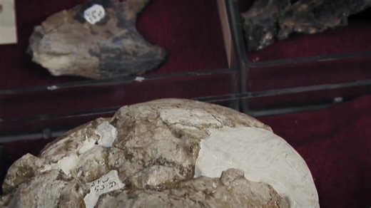 22 reactions · 4 comments | In honor of Black History Month, it's...