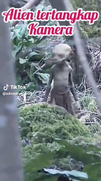 Alien Encounters Caught on Camera