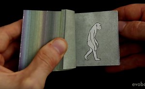 550 Million Years of Human Evolution in an Illustrated Flipbook